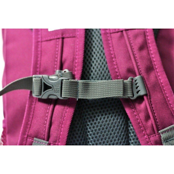 Rygsække Karrimor Ubahn 20 Pink