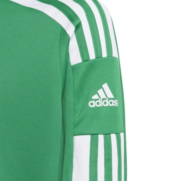 Sweatshirts Adidas Squadra 21 Grøn 123 - 128 cm/XS