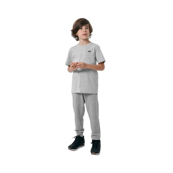 Shirts 4F JTSM001 Gråa 122 - 127 cm