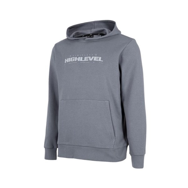 Sweatshirts 4F BLM015 Grå 179 - 182 cm/L