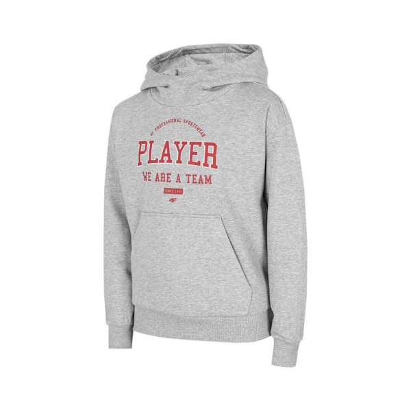 Sweatshirts 4F JBLM006 Grå 122 - 127 cm