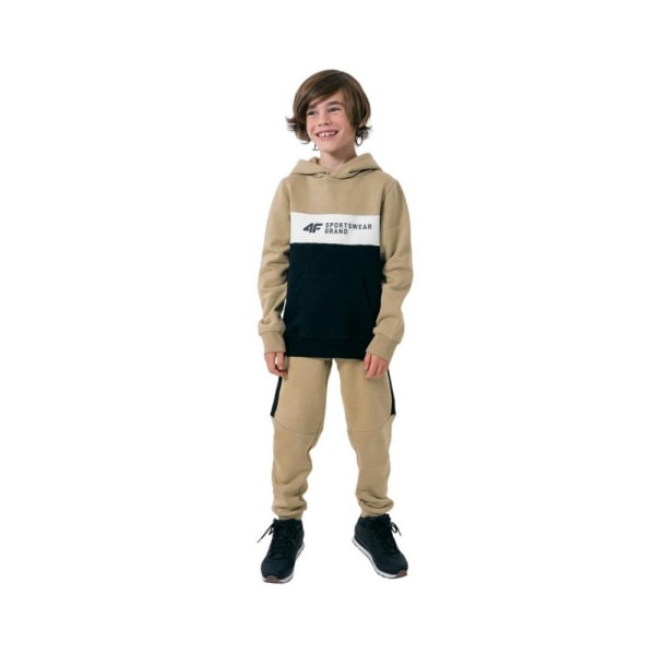 Sweatshirts 4F JBLM003 Sort,Brun 152 - 157 cm