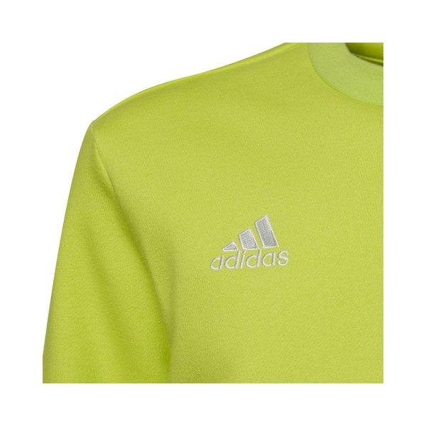 Sweatshirts Adidas Entrada 22 Sweat Top Grøn 159 - 164 cm/L