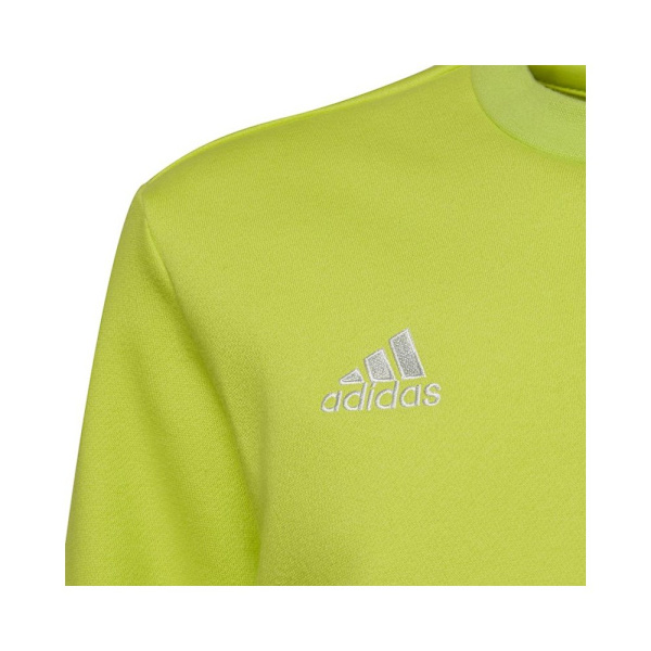 Sweatshirts Adidas Entrada 22 Sweat Top Gröna 159 - 164 cm/L