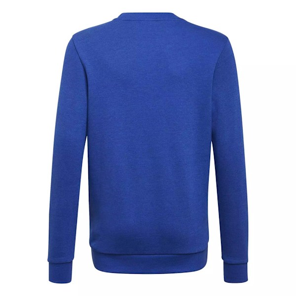 Sweatshirts Adidas GN5915 Blå 147 - 152 cm/M