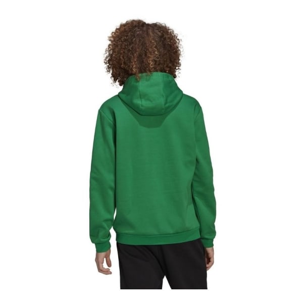 Sweatshirts Adidas Entrada 22 Gröna 164 - 169 cm/S