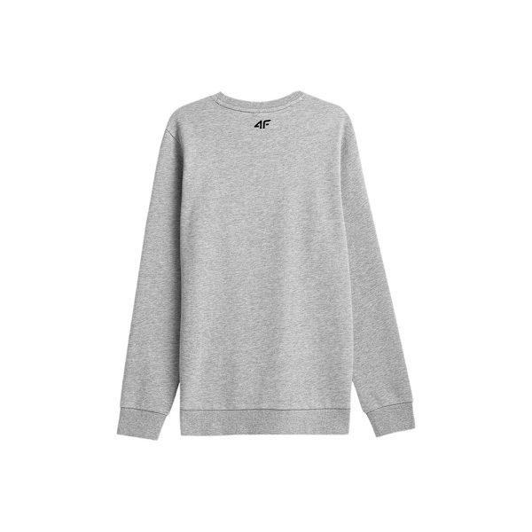 Puserot je Fleecet 4F BLM350 Harmaat 182 - 185 cm/XL