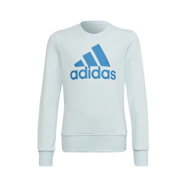 Sweatshirts Adidas Big Logo JR Hvid 105 - 110 cm/4 - 5 år