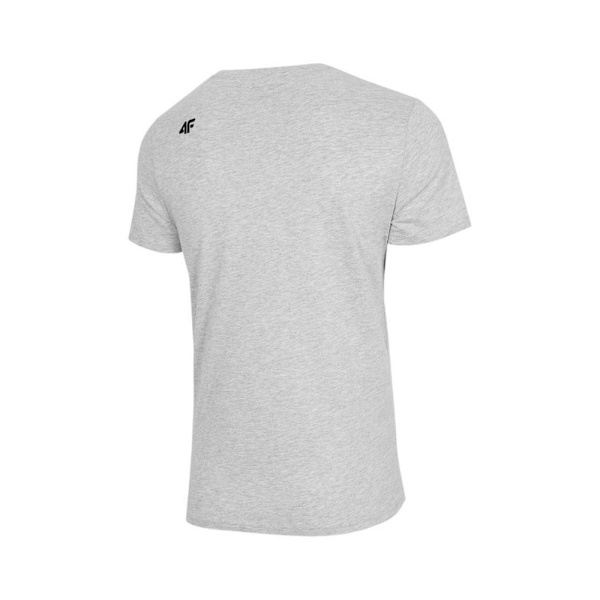 T-shirts 4F TSM353 Grå 176 - 179 cm/M