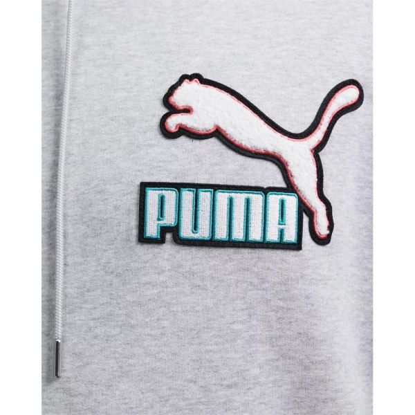 Sweatshirts Puma Fandom Hoodie TR Gråa 188 - 191 cm/XL