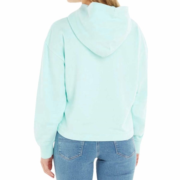 Sweatshirts Tommy Hilfiger Tommy Jeans Hoodie Celadon 173 - 177 cm/L