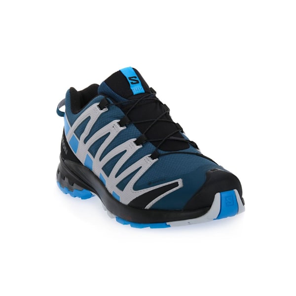 Lågskor Salomon XA Pro 3D V8 Gtx Gråa,Blå,Svarta 43 1/3