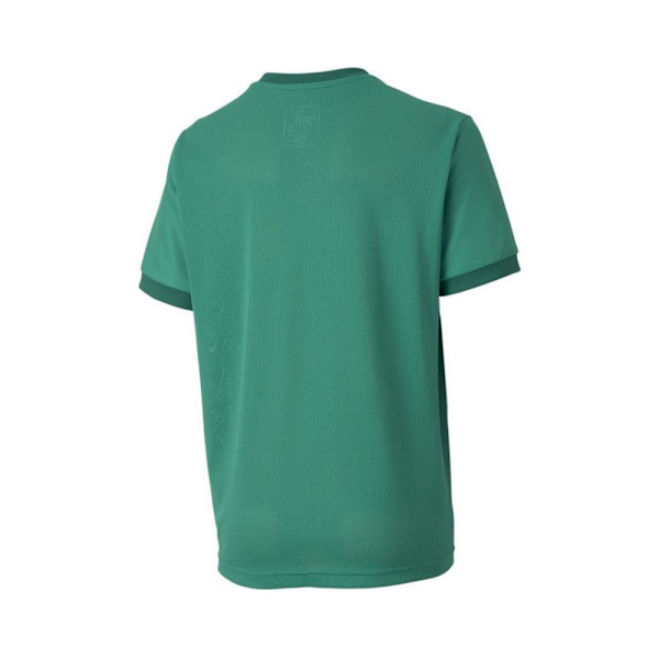 Shirts Puma Teamgoal 23 Jersey Gröna 140 - 152 cm/M