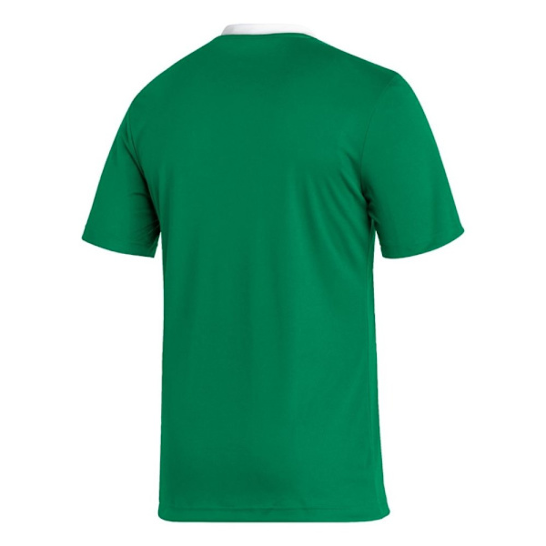 T-paidat Adidas Entrada 22 Vihreät 164 - 169 cm/S
