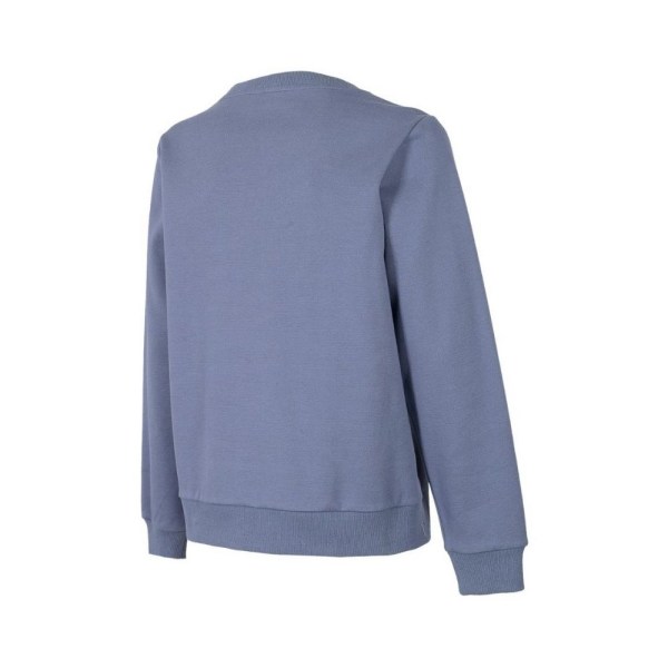 Sweatshirts 4F BLD020 Blå 174 - 177 cm/XL