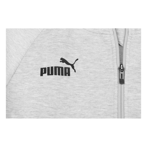 Sweatshirts Puma Teamfinal Casuals Hooded Gråa 176 - 181 cm/M