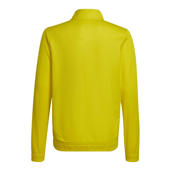 Sweatshirts Adidas Entrada 22 Gul 159 - 164 cm/L