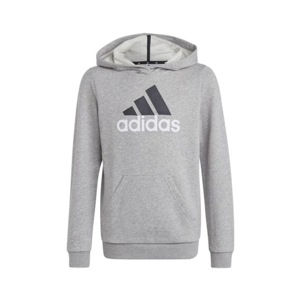 Sweatshirts Adidas Big Logo 2 Hoody JR Gråa 105 - 110 cm/4 - 5 år