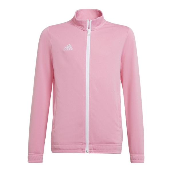 Sweatshirts Adidas Entrada 22 Pink 147 - 152 cm/M