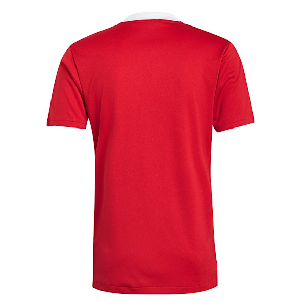 T-paidat Adidas Tiro 21 Punainen 188 - 193 cm/XXL
