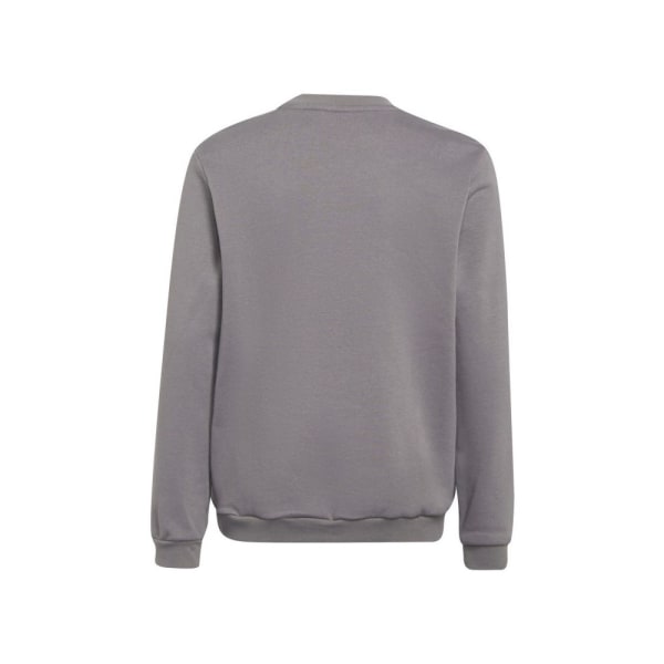 Sweatshirts Adidas Entrada 22 Grå 159 - 164 cm/L