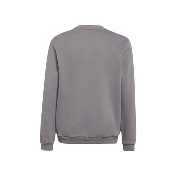 Sweatshirts Adidas Entrada 22 Gråa 159 - 164 cm/L