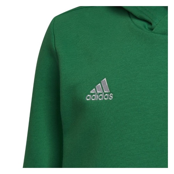 Sweatshirts Adidas Entrada 22 Grøn 171 - 176 cm/XL