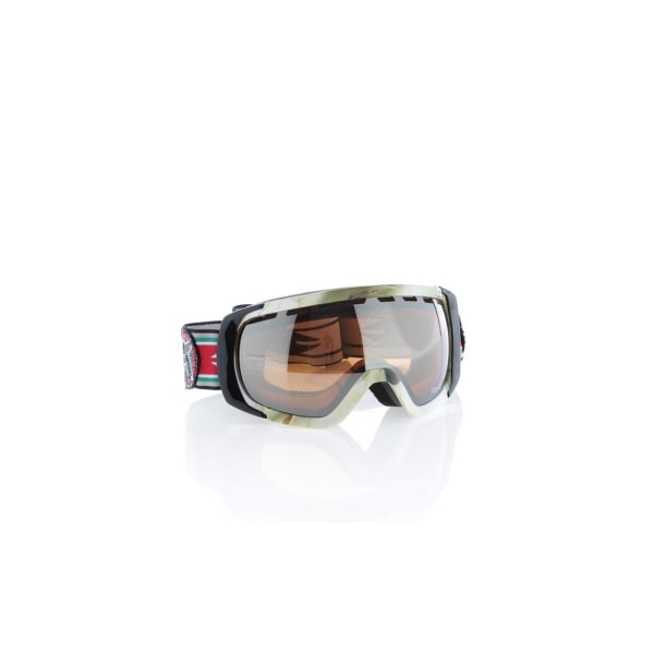 Goggles Dragon Roguel FW12 Grøn,Hvid,Rød