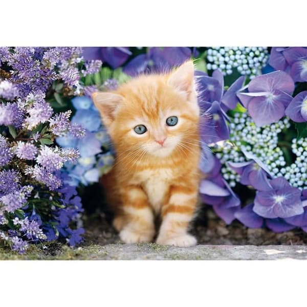 Puslespil - CLEMENTONI - Den Røde Kat - 500 brikker - 49 x 36 cm - Multifarvet