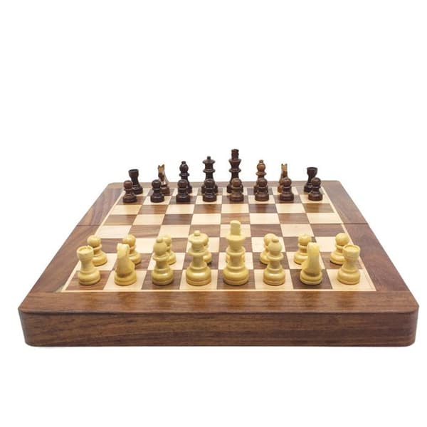 FOLDING CHESSBOARD 25CM KING 44MM Flerfärgad