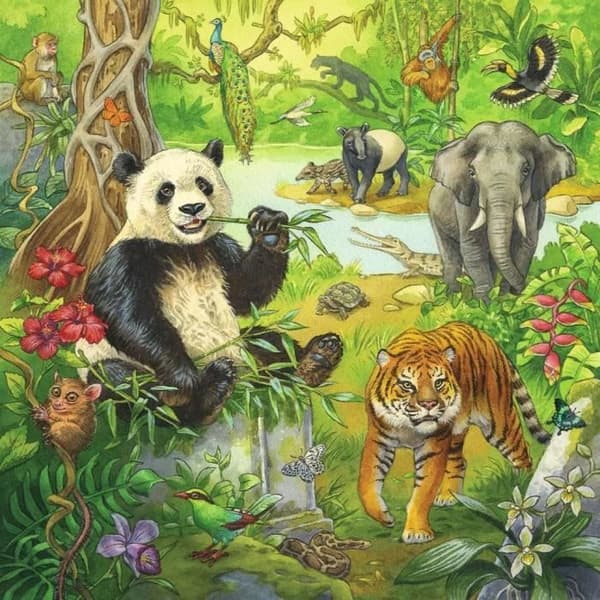 Ravensburger Lastenpalapeli Viidakossa - 3 x 49 palaa Multifarvet
