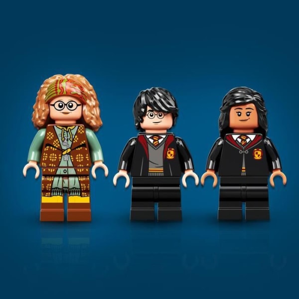 LEGO® 76396 Harry Potter Hogwarts: Byggleksaksbok i spådomsklass för barn, professor Trelawney