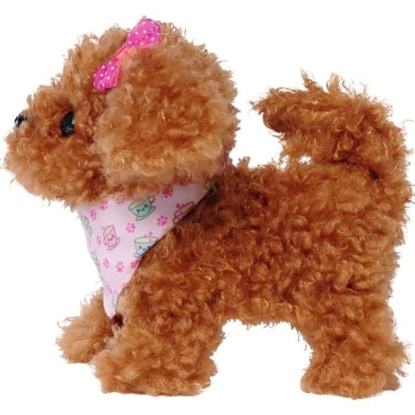Chi Chi Love Pomeranian Hvalp