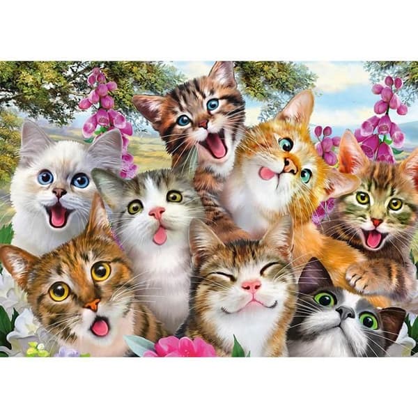 Puzzle 500 kappaletta: Kissat selfie