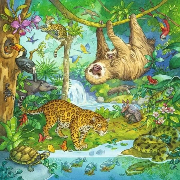 Ravensburger Lastenpalapeli Viidakossa - 3 x 49 palaa Multifarvet