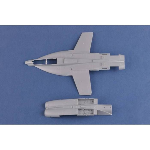 F/A-18F Super Hornet