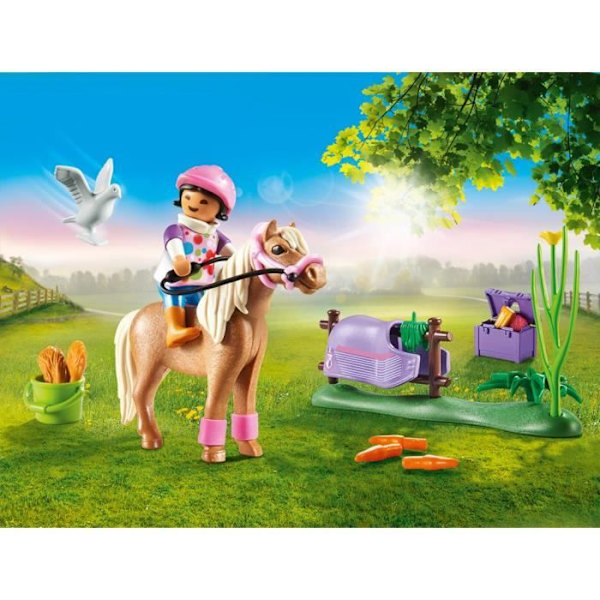 Samle Islandsk Pony Flerfärgad