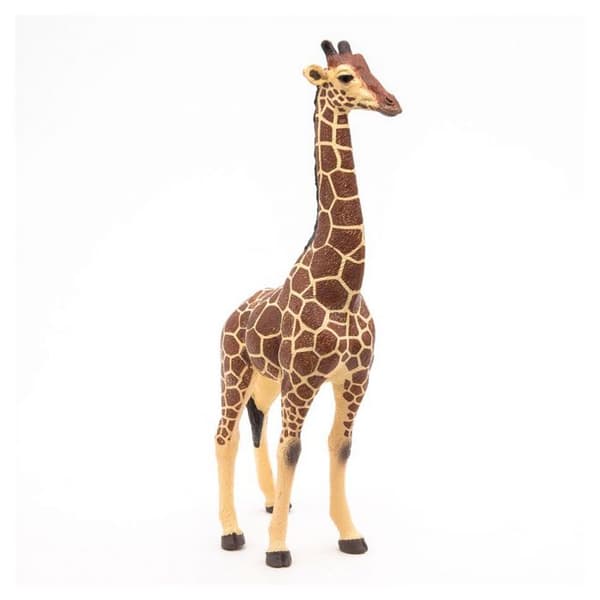 Figurine Giraff han - PAPO - DET VILDE LIV - Indendørs - Blandet - 3 år