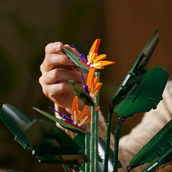 LEGO® Icons 10289 Paradisfågeln, dekorativa blommor, botanisk modellsamling, byggväxter, för vuxna