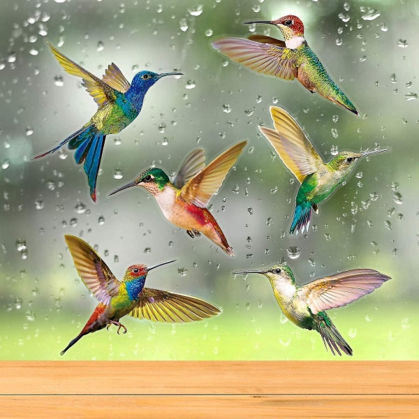 6 deler Hummingbird Window Clings Anti-kollisjonsdekaler
