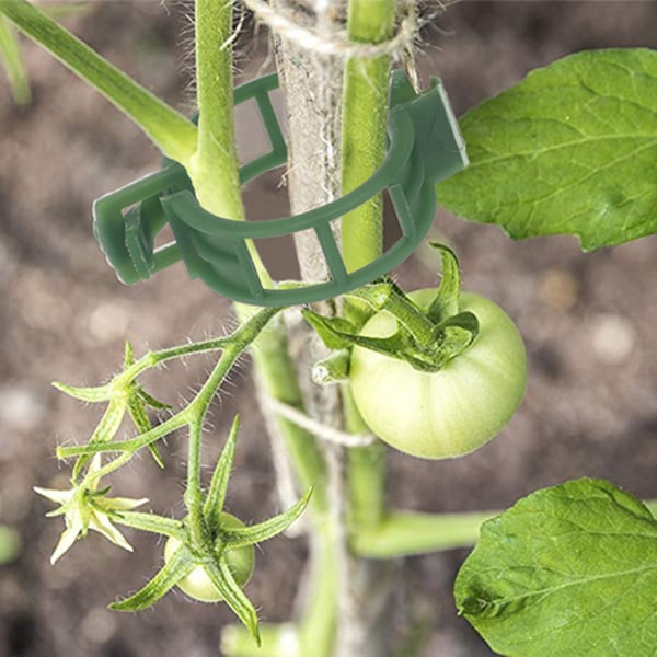 Växtklämmor för plantstöd/spaljé 100-pack Grön Grøn