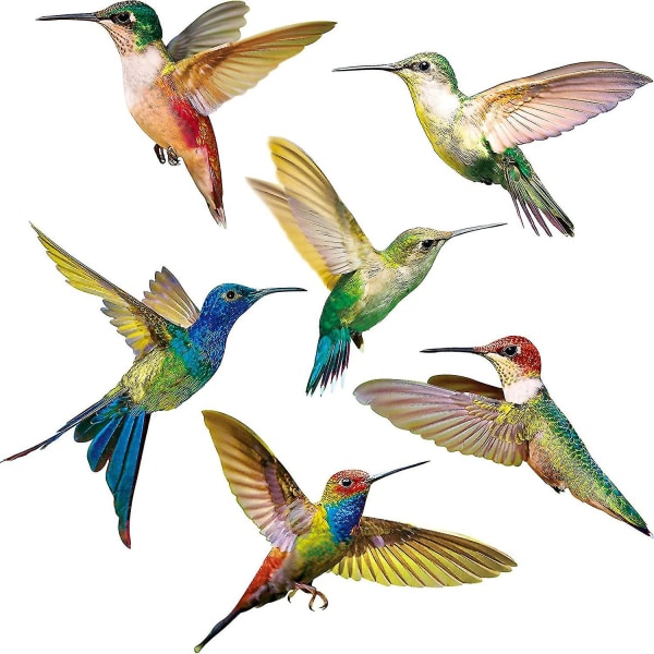 6 deler Hummingbird Window Clings Anti-kollisjonsdekaler