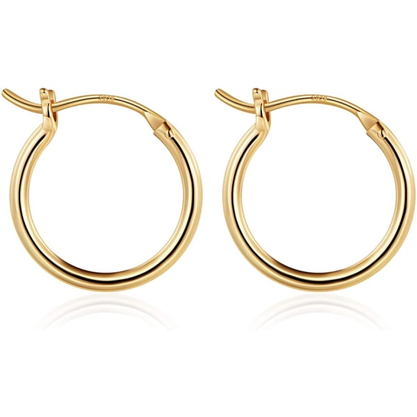 14K Gold Plated 925 Sterling Silver Women's Gold Hoop Earrings