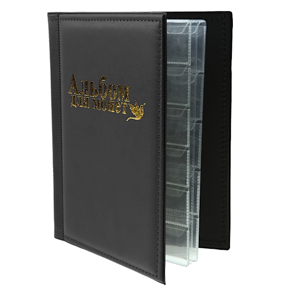 250 lommer 10 sider World Coin Opbevaringsmappe Album Penge Samlingsholder Bog Sort