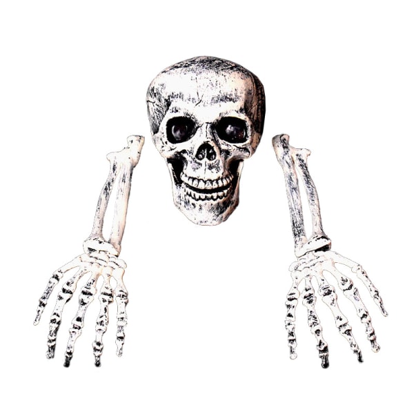 Realistic Skeleton Head Halloween Decorations for Halloween
