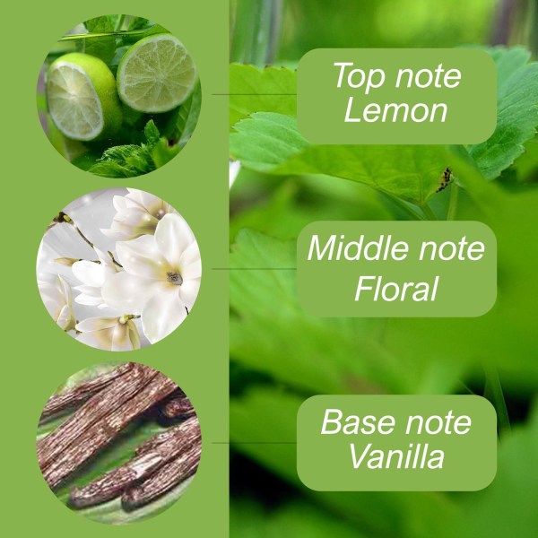 Duftende voks Sojavoks Lime Vanilla 3-Pack - Duftende sojavoksterninger til lækker aroma og lugt Afslappende og trøstende atmosfære Naturlig sojavoks White