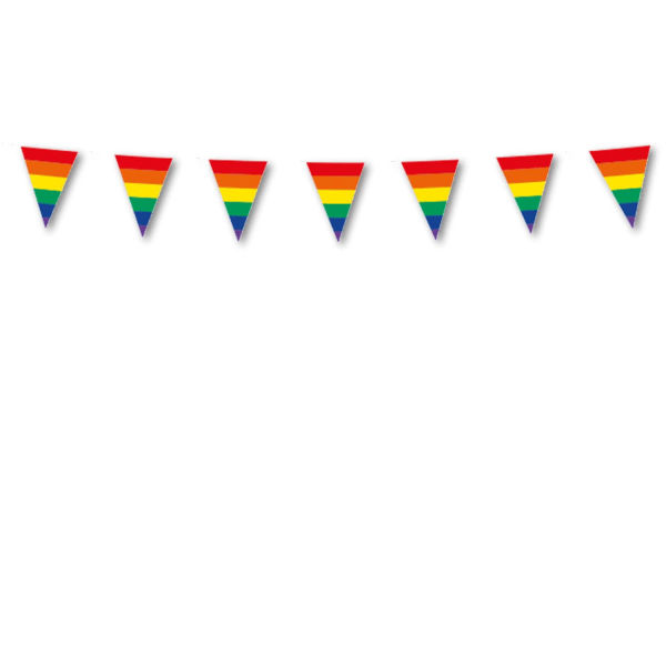 Pride Regnbågs Vimpelgirlang Dubbelsidig Flaggirlang HBTQ+ Festdekoration Inomhus & Utomhus Användning multifärg