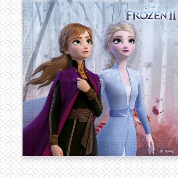 Disney Frozen 2 | Frost kalaspaket till barnkalas. multifärg