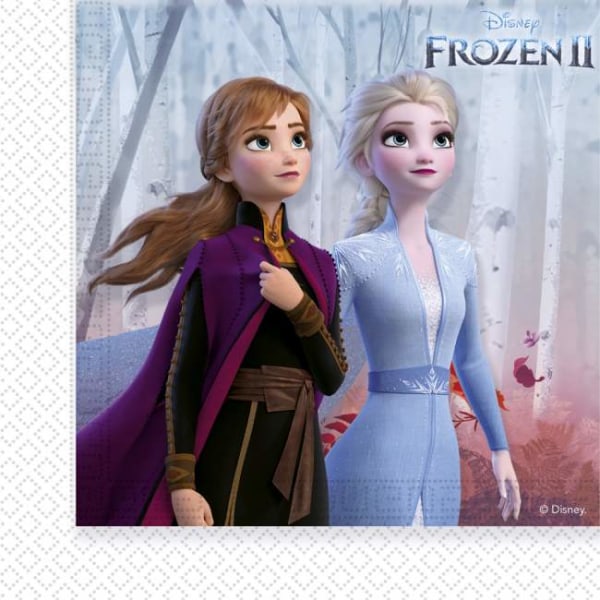 Disney Frozen 2 Juhlatarvikesetti Multicolor