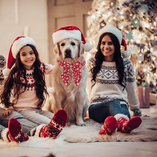 Julhalsband för hund med rosett, Bowtie Hund Julhalsband